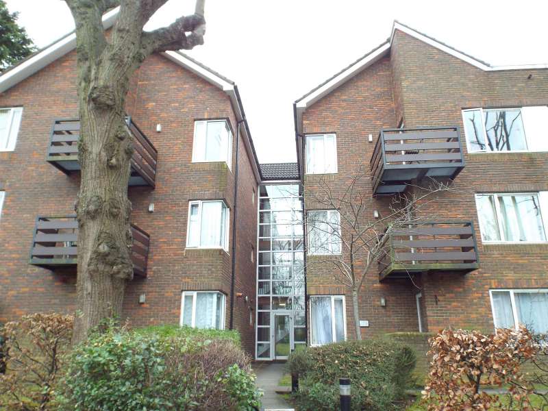 Exterior 1: Cedar Road, Sutton